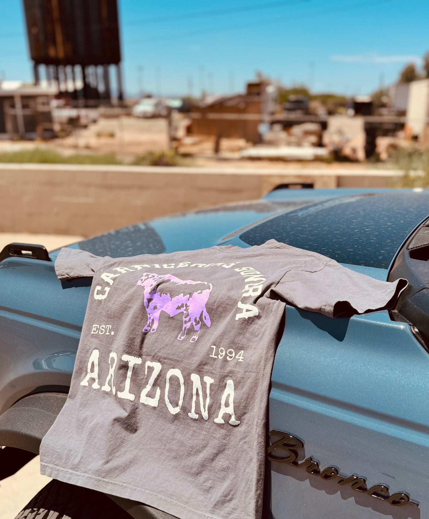 The "Arizona Staple" Oversized Tee (Charcoal)